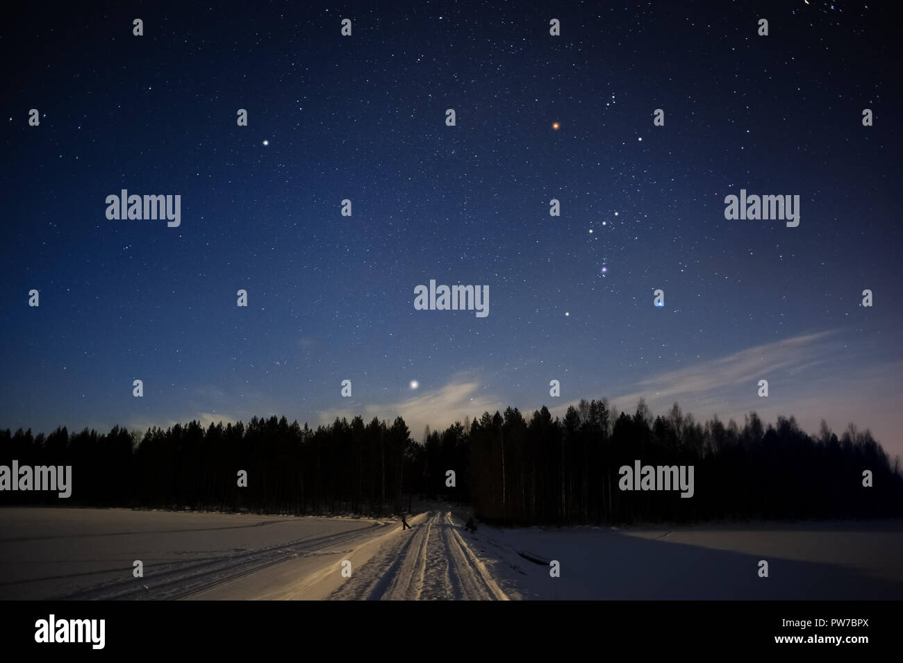 Orion constellation and Sirius above forest in winter sky Stock Photo