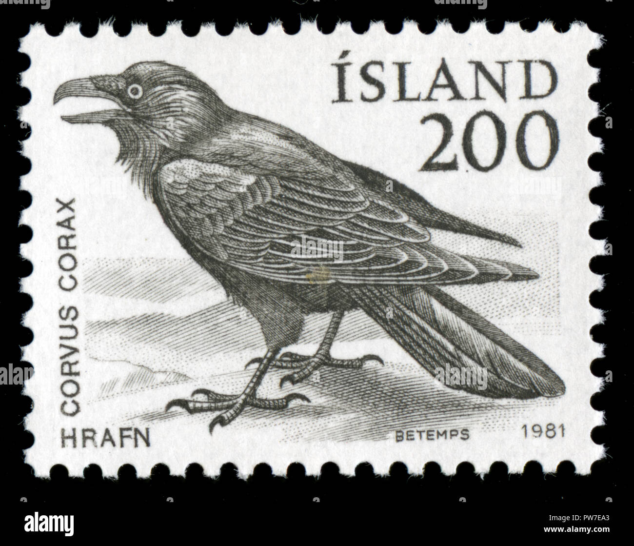 Postmarked stamp from Iceland in the Iceland Fauna series issued in 1981 Stock Photo