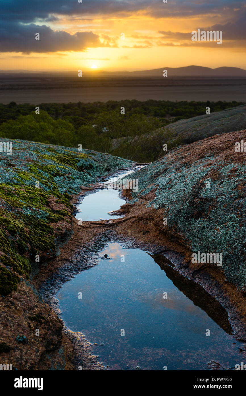 Shallow rock pools aka as gnamma holes by the aboriginals filled with water after recent rain on top of Pildappa Rock, Eyre Peninsula South Australia Stock Photo