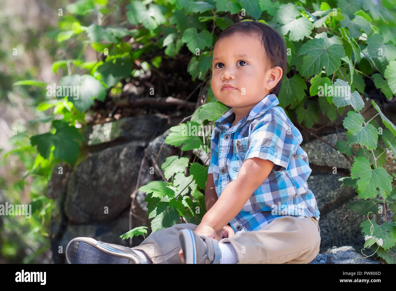 Adorable young hispanic boy sitting down surrounded by plants gazing up at the sky looking lonely, abandoned or hopeful Stock Photo