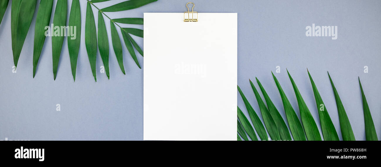 Creative top view mock up blank paper sheet postcard clipboard tropical ...