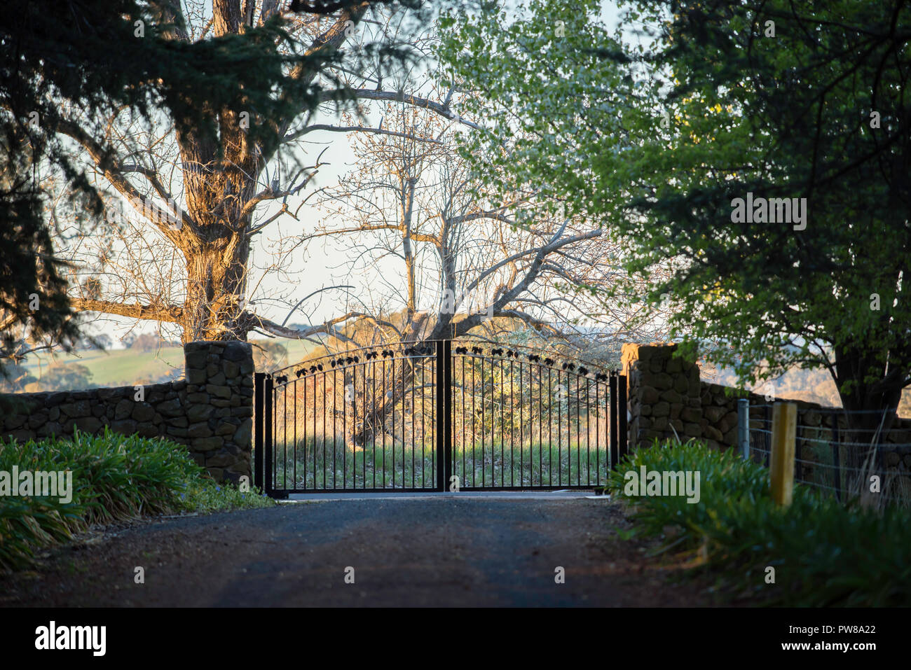 A gravel driveway leading to a dry stone wall and steel double gate entrance at rural a property near Orange in New South Wales, Australia Stock Photo