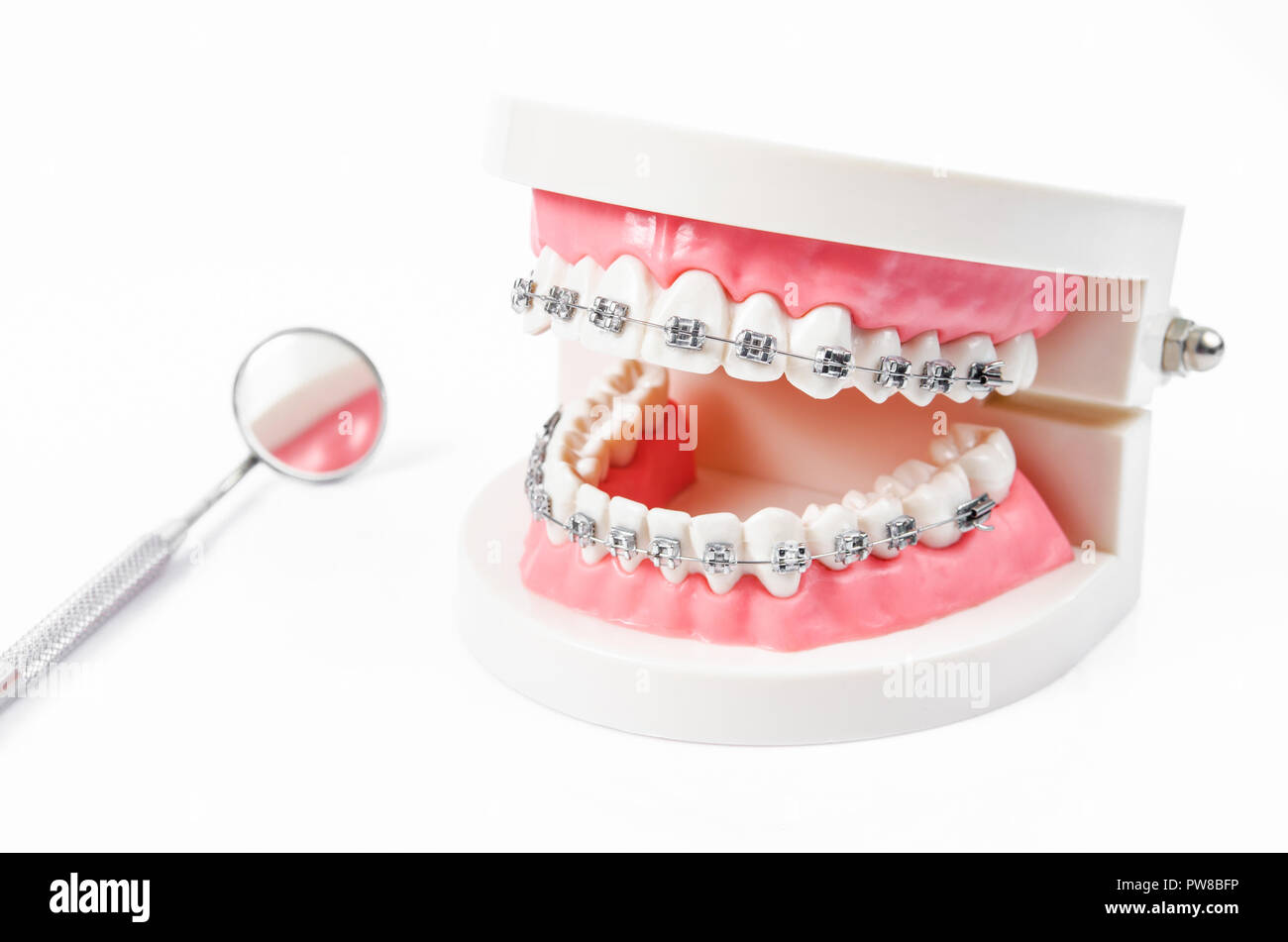 tooth model with metal wire dental braces and mirror dental equipment ...