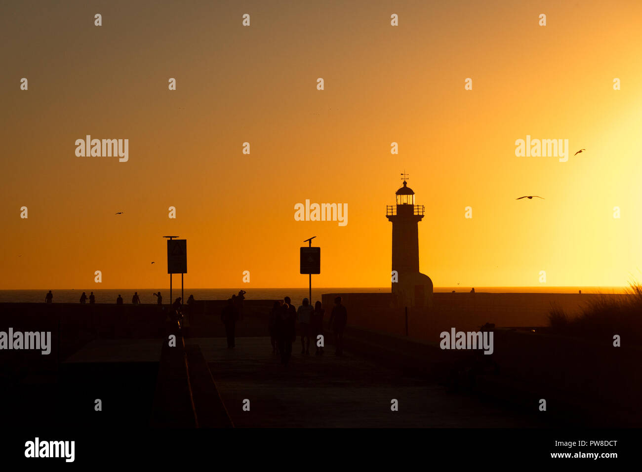 A group of people stand near a lighthouse before sunset with seagulls flying by on the golden sky. Stock Photo