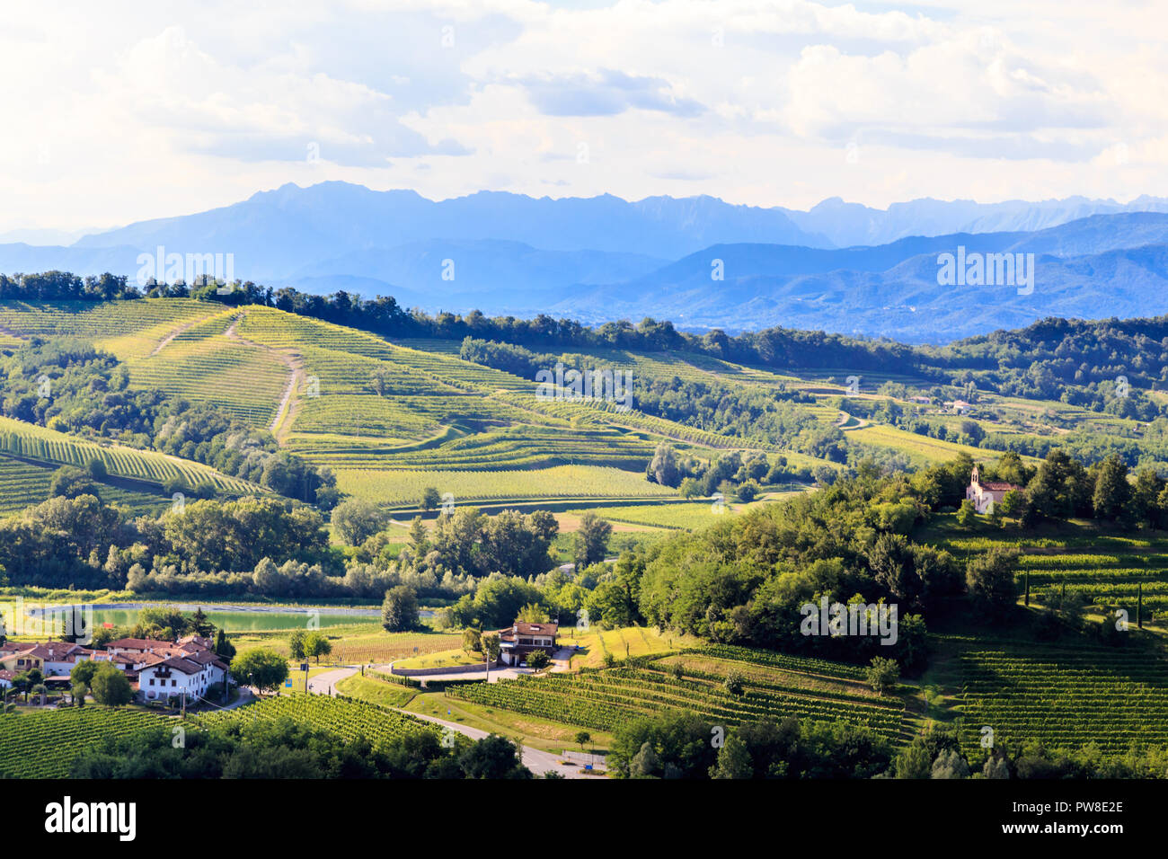 Italy slovenia border vineyard hi-res stock photography and images - Alamy