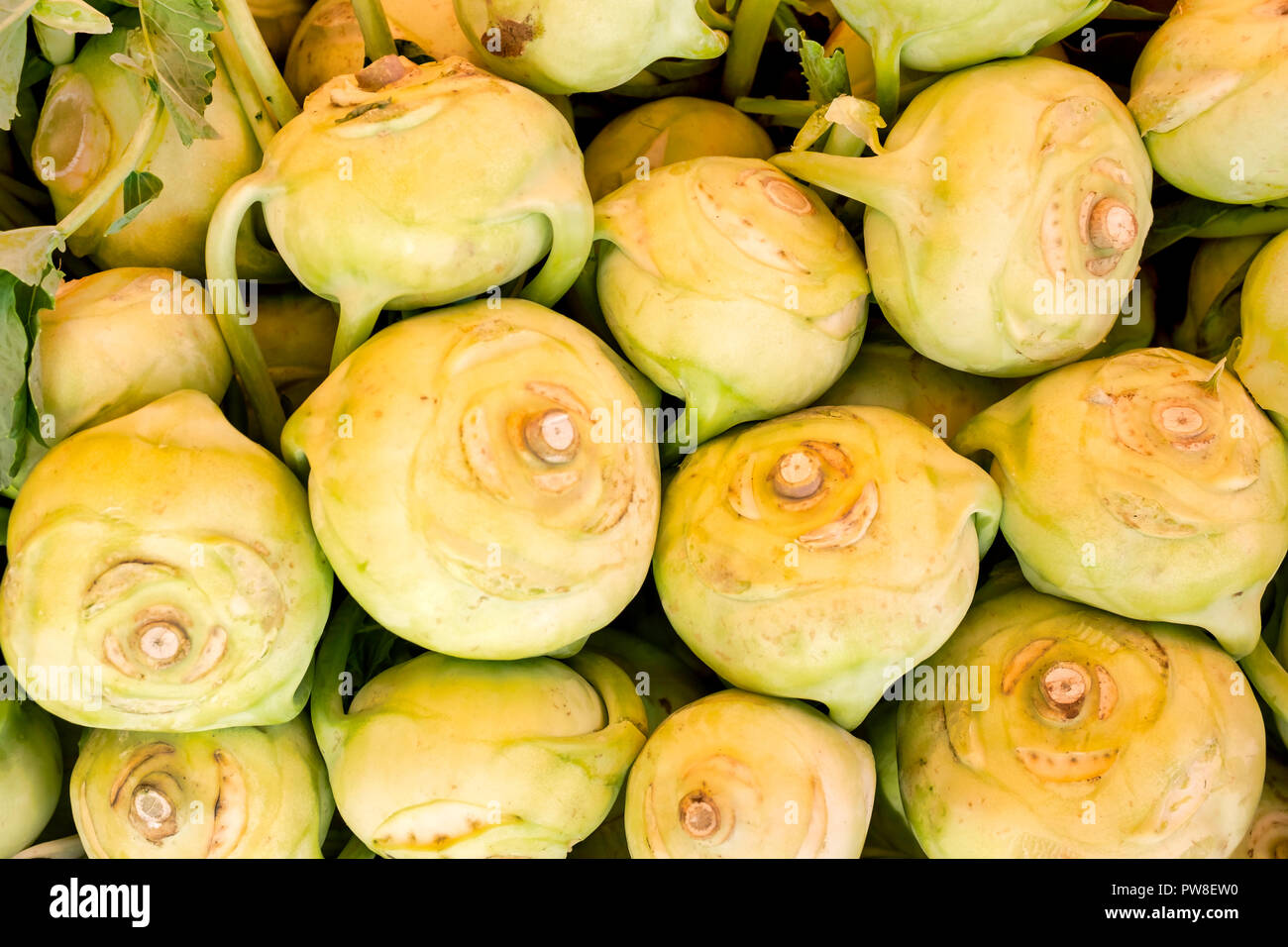 Close up shot of Kohlrabi stems (also called german turnip) Stock Photo