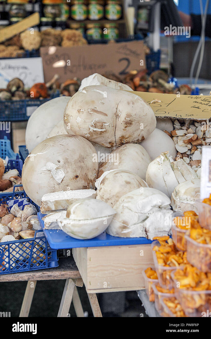 Mushrooms for sale in the Viktualienmarkt in the heart of Munich, Germany. Stock Photo