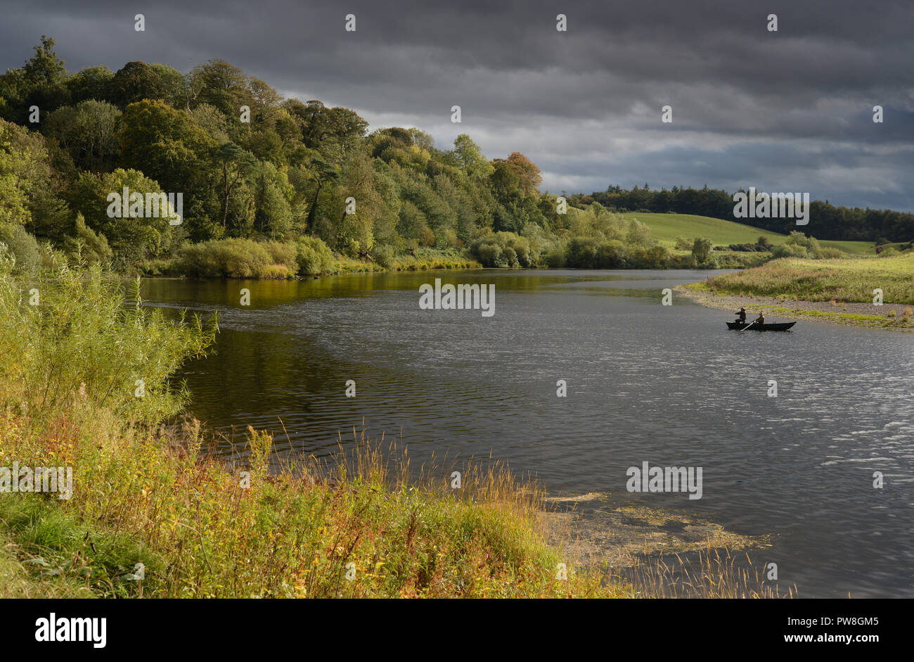 Salmon fishing on the River Tweed on the Ladykirk Estate in the Scottish Borders Stock Photo