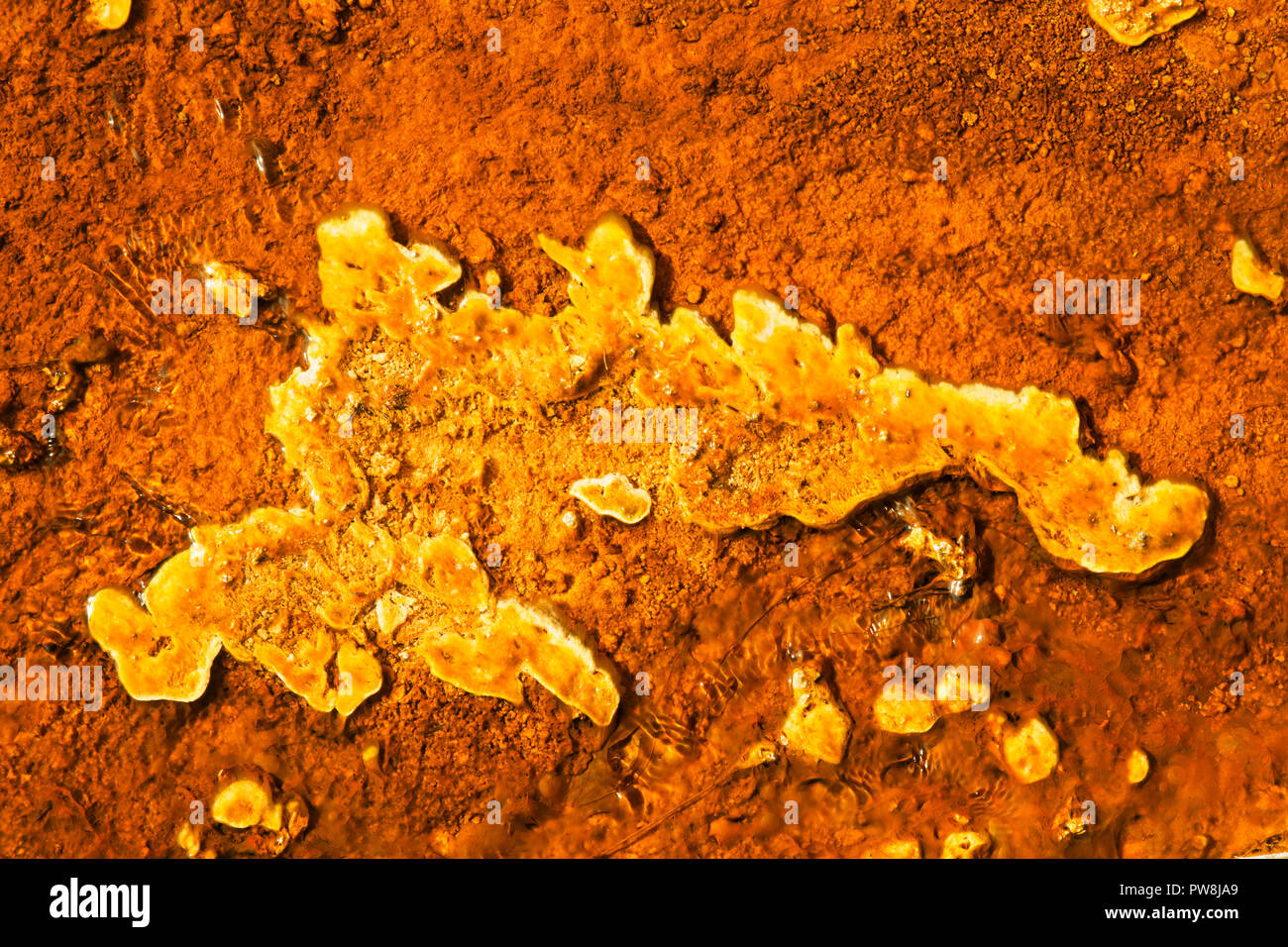 West Thumb Geyser Basin Copper and Yellow, Yellostone National Park, Wyoming Stock Photo