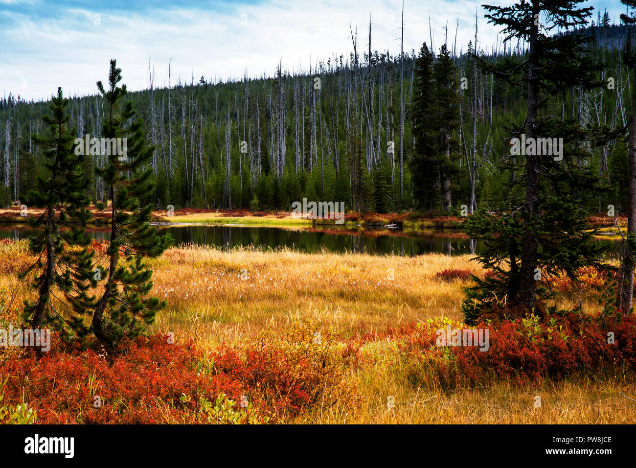 Yellowstone super volcano hi-res stock photography and images - Alamy