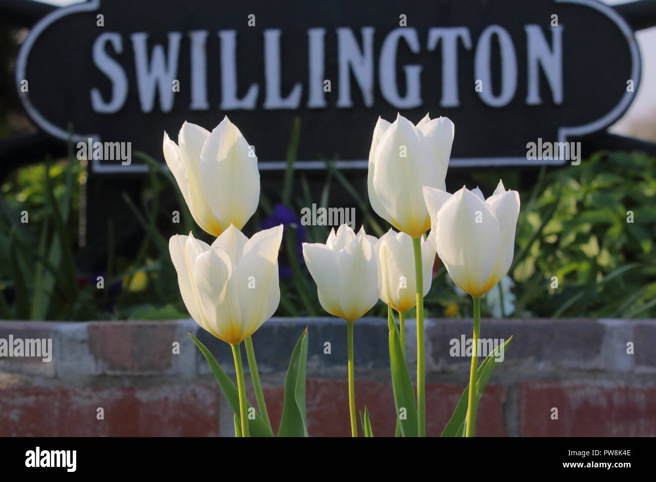 Swillington village hires stock photography and images Alamy