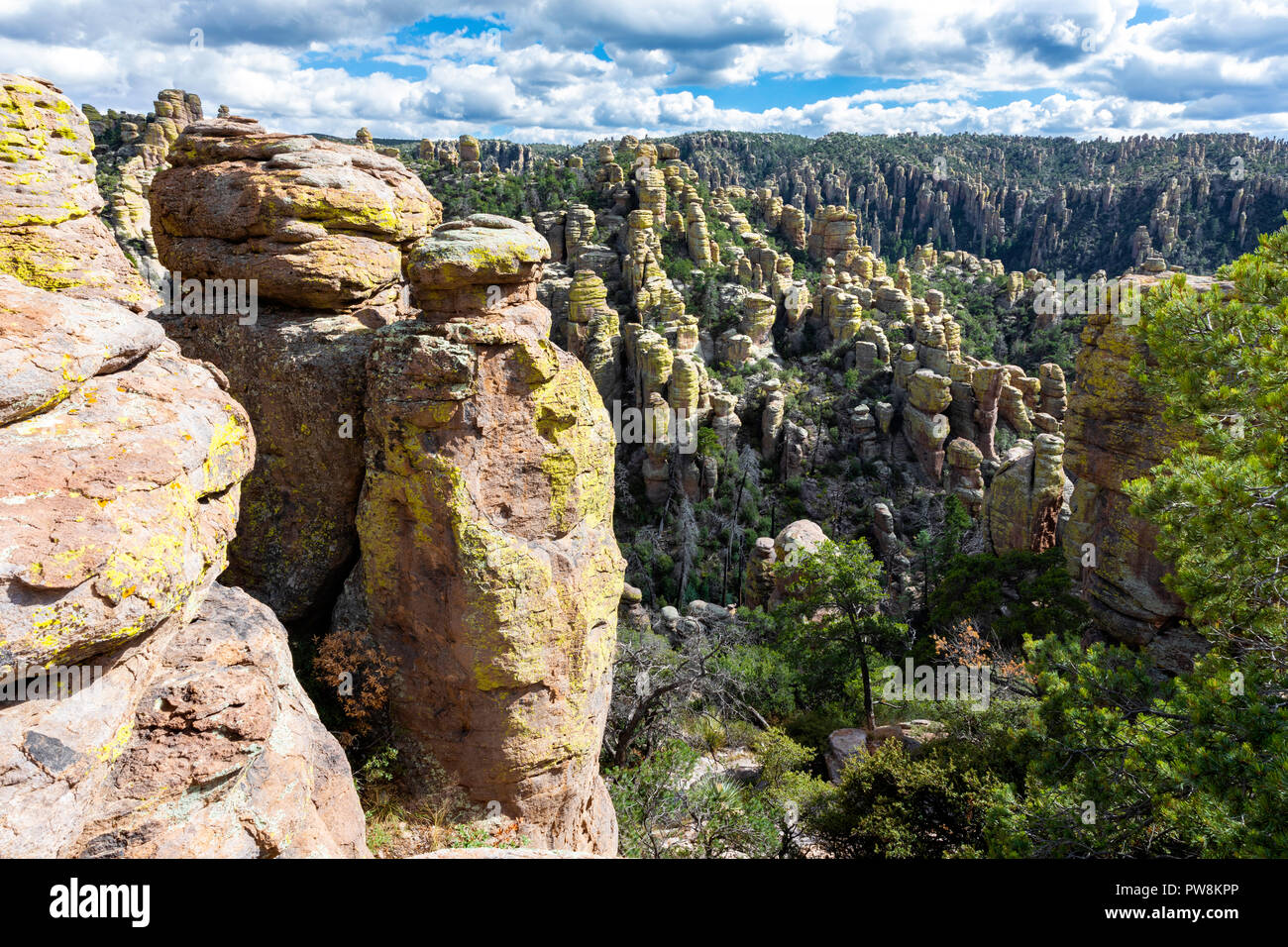 Rhyolite hoodoos, Chiricahua National Monument, Arizona Stock Photo