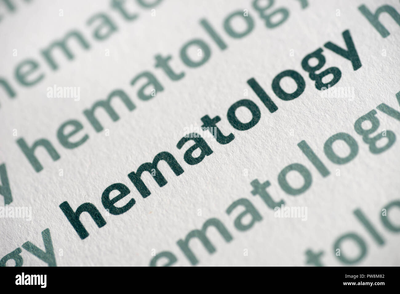 word hematology  printed on white paper macro Stock Photo