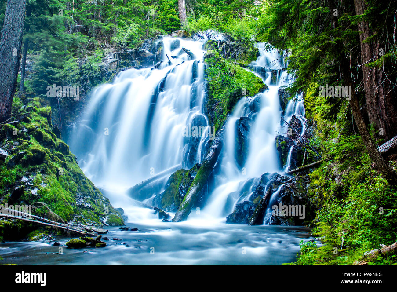 National Creek Falls, north of Union Creek, Oregon Stock Photo