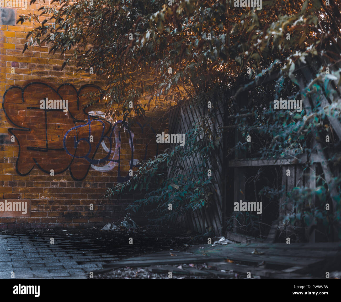 A stream of light breaks over a smashed up fence along an Alley in Sheffield Stock Photo