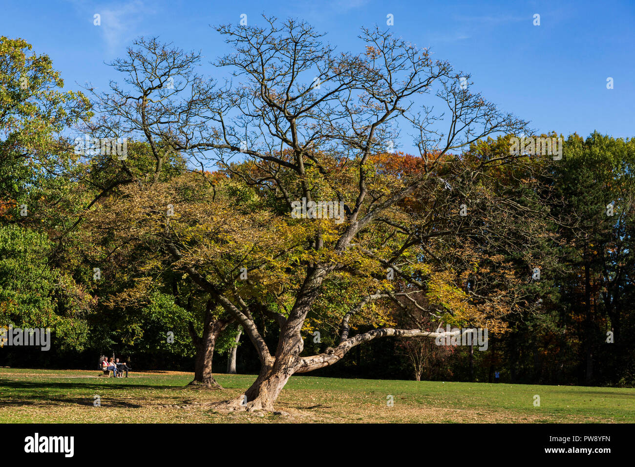 Mülheim an der Ruhr, Germany. 13 October 2018. People enjoy an autumnal heat wave in Witthausbusch Park. The unseasonal warm and sunny October weather is expected to last for several more days. Photo: North51/Alamy Live News Stock Photo