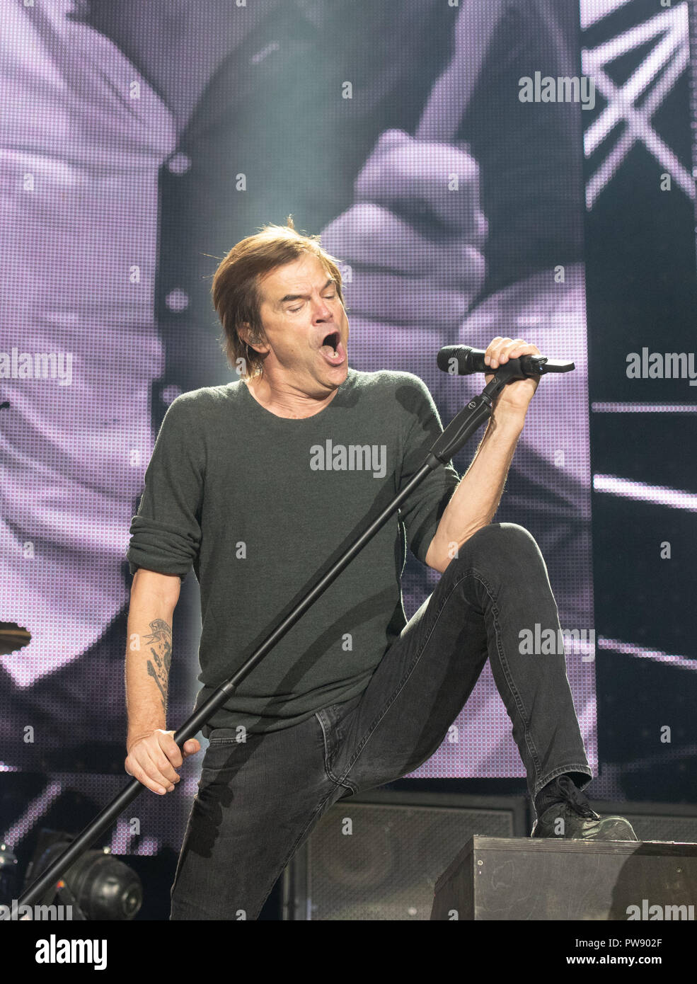 13 October 2018, North Rhine-Westphalia, Duesseldorf: 13 October 2018,  Germany, Duesseldorf: Frontman Campino of the band "Die Toten Hosen" stands  with his microphone stand at the edge of the stage. About 1.3