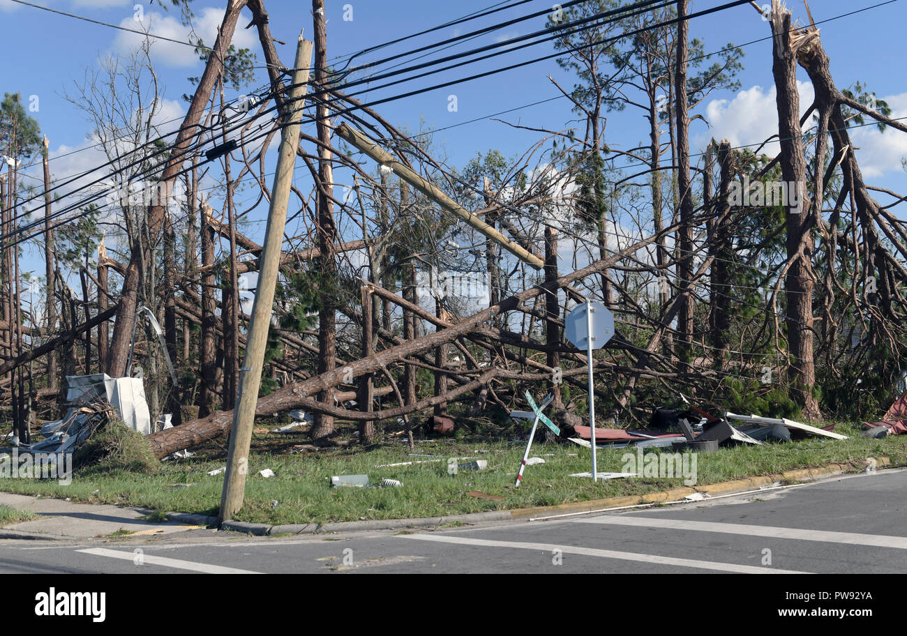 Damage to trees and power poles at Tyndall Air Force Base in the ...
