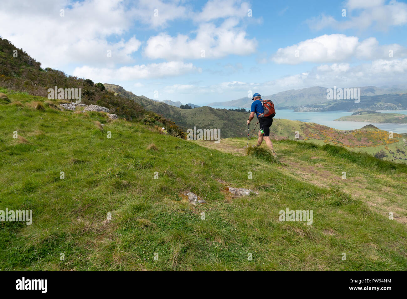 Crater Rim Ultra trail running race at Port Hills, Christchurch, New