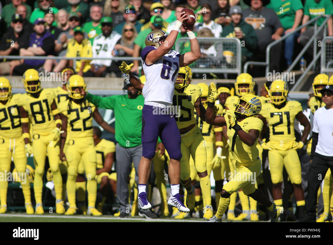 Eugene, OR, USA. 13th Oct, 2018. Washington Huskies tight end Cade Otton (87) comes down with the ball during a game between the Washington Huskies and Oregon Ducks at Autzen Stadium in Eugene, OR. Sean Brown/CSM/Alamy Live News Stock Photo