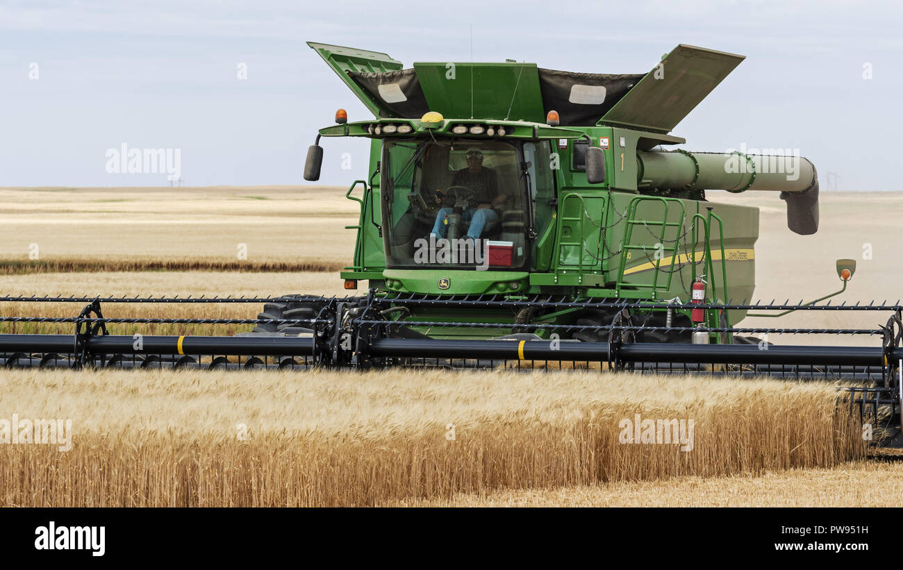 Limerick, Saskatchewan, Canada. 9th Sep, 2018. A field of wheat being harvested by a farmer using a John Deere combine, Limerick, Saskatchewan, Canada. Credit: Bayne Stanley/ZUMA Wire/Alamy Live News Stock Photo