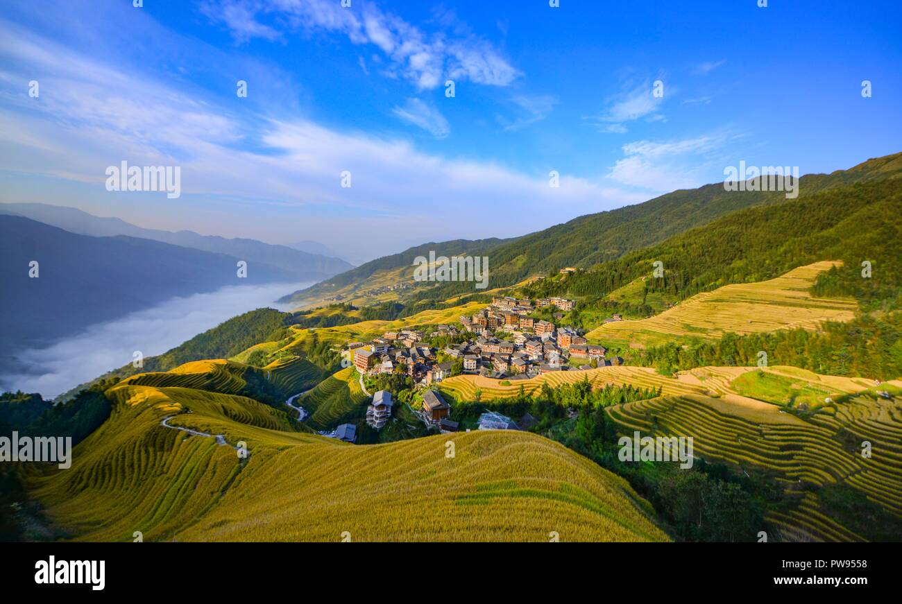 Beijing, China. 12th Oct, 2018. Photo taken on Oct. 12, 2018 shows the ...