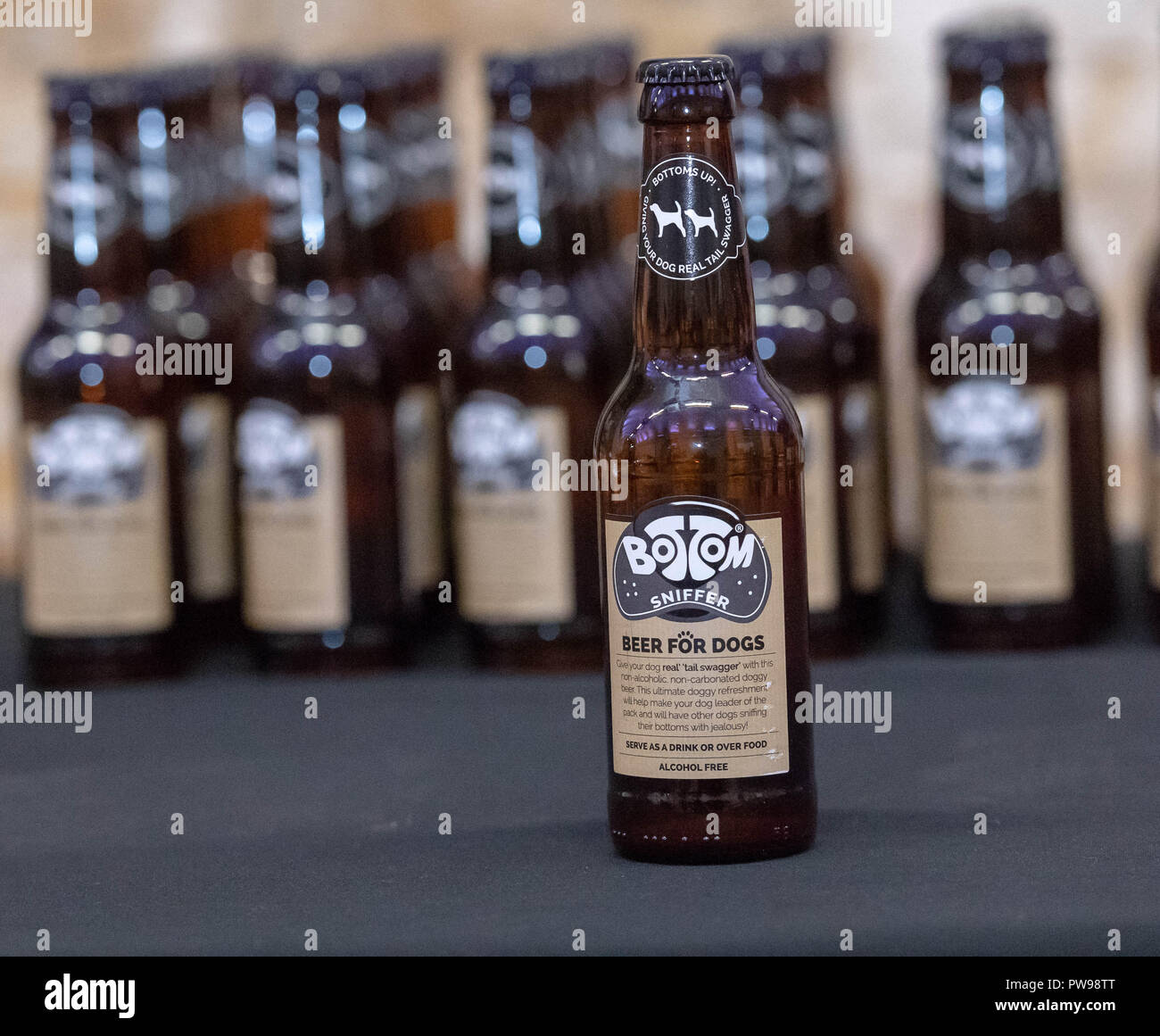 Is There Beer For Dogs