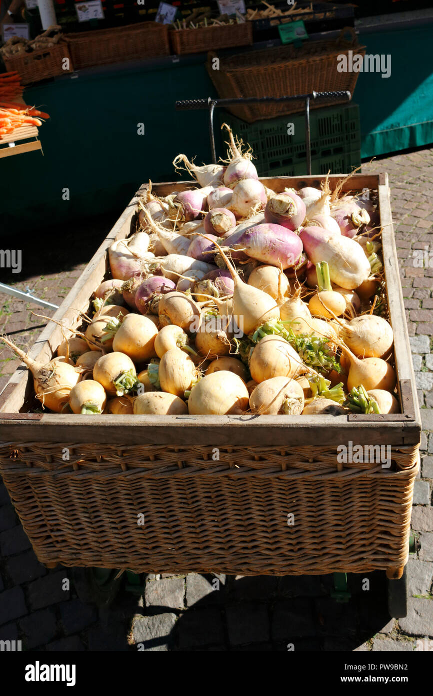 Mairübe, Navette, Rübe im Herbst geerntet, in einem Bollerwagen aufgeschichtet Stock Photo