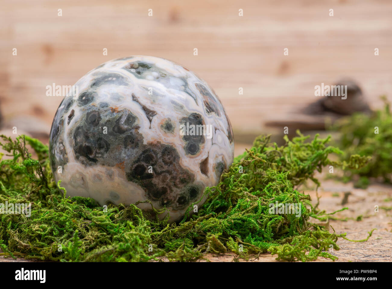 Orbicular ocean jasper sphere with crystallized vugs from Madagascar on moss, bryophyta and cork background Stock Photo