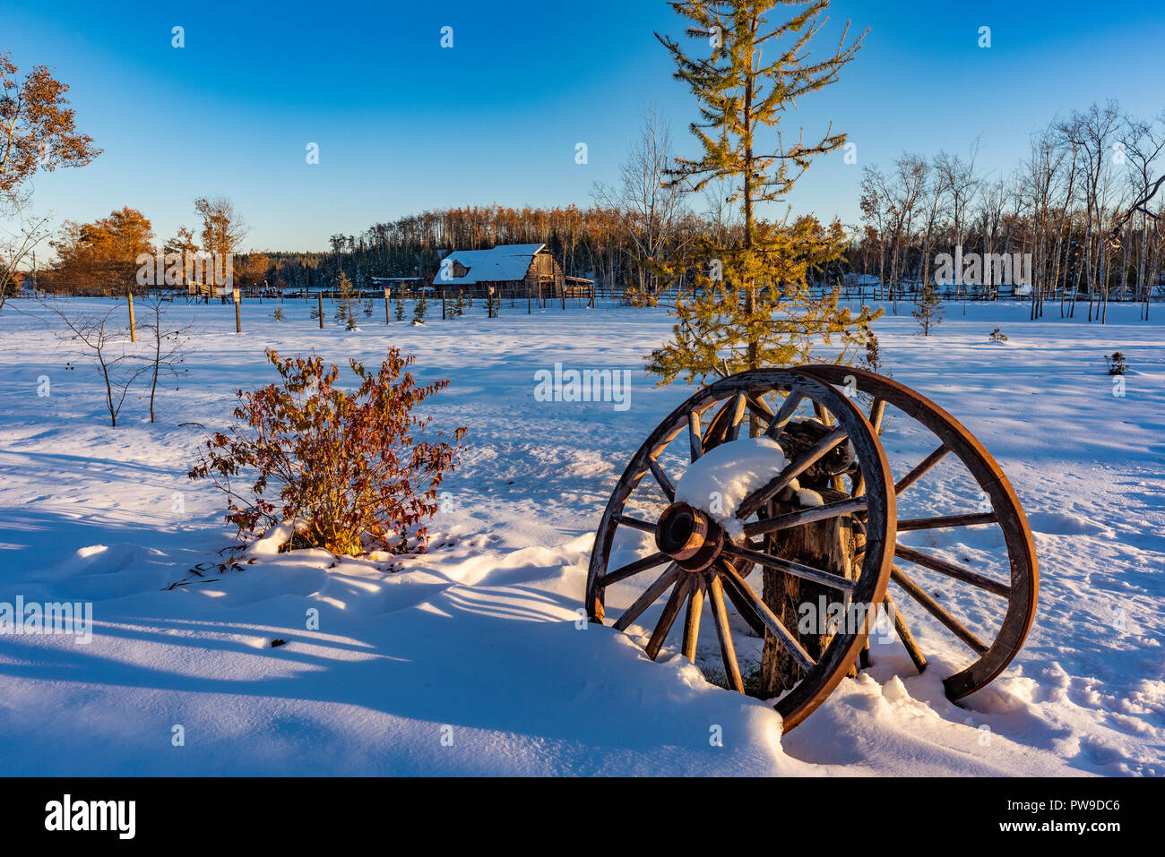 Wagon wheels, winter, 83 Mile House, Cariboo Region, British Columbia, Canada Stock Photo