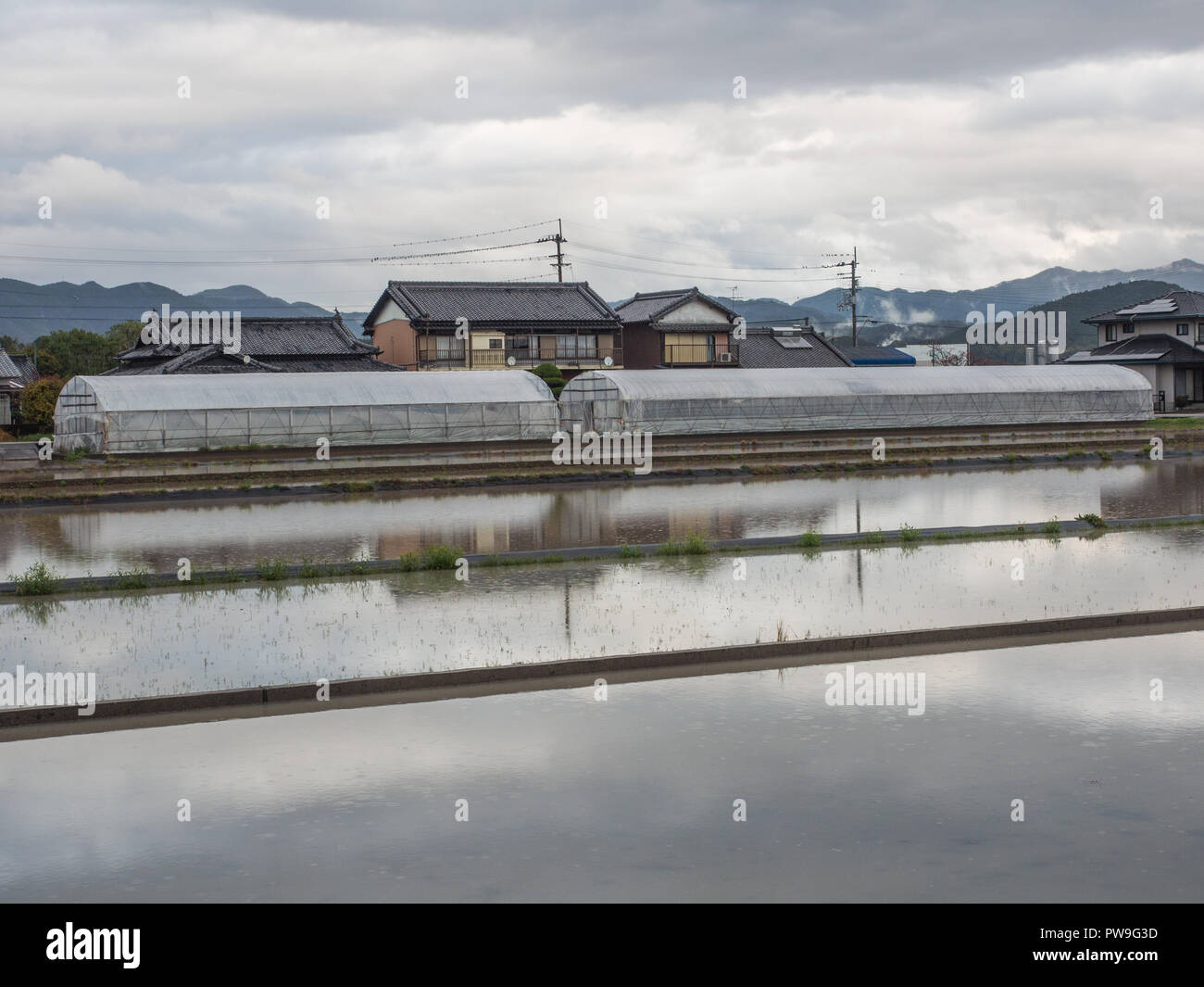 Flooded rice field, with plastic tunnel houses,  and farm houses, rural landscape, early spring, Konan, Kochi, Shikoku, Japan Stock Photo