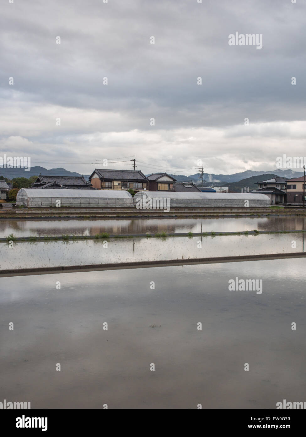 Flooded rice field, with plastic tunnel houses,  and farm houses, rural landscape, early spring, Konan, Kochi, Shikoku, Japan Stock Photo