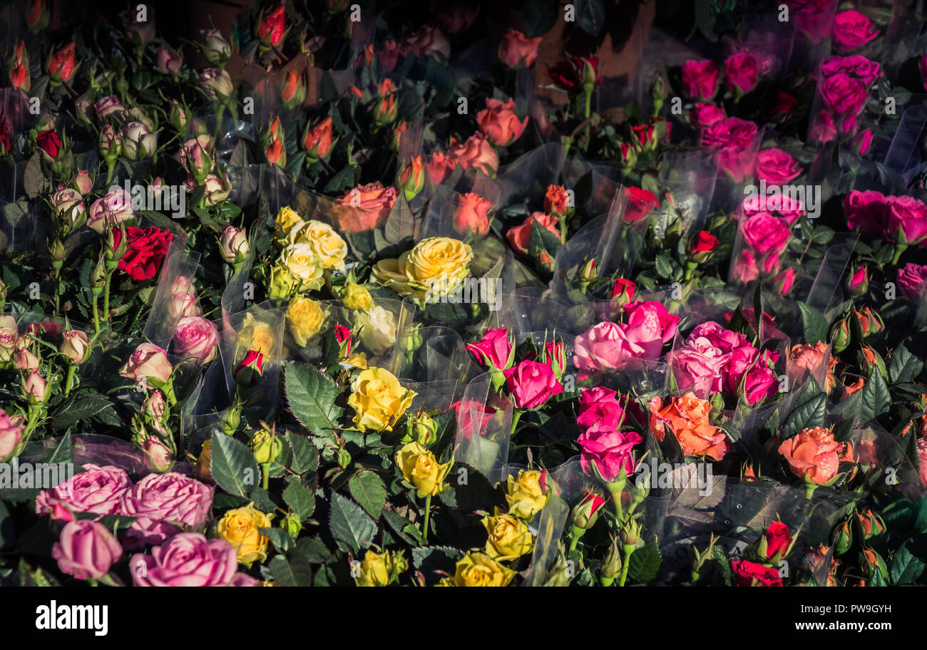 Beautiful fresh flowers as a nature background Stock Photo - Alamy