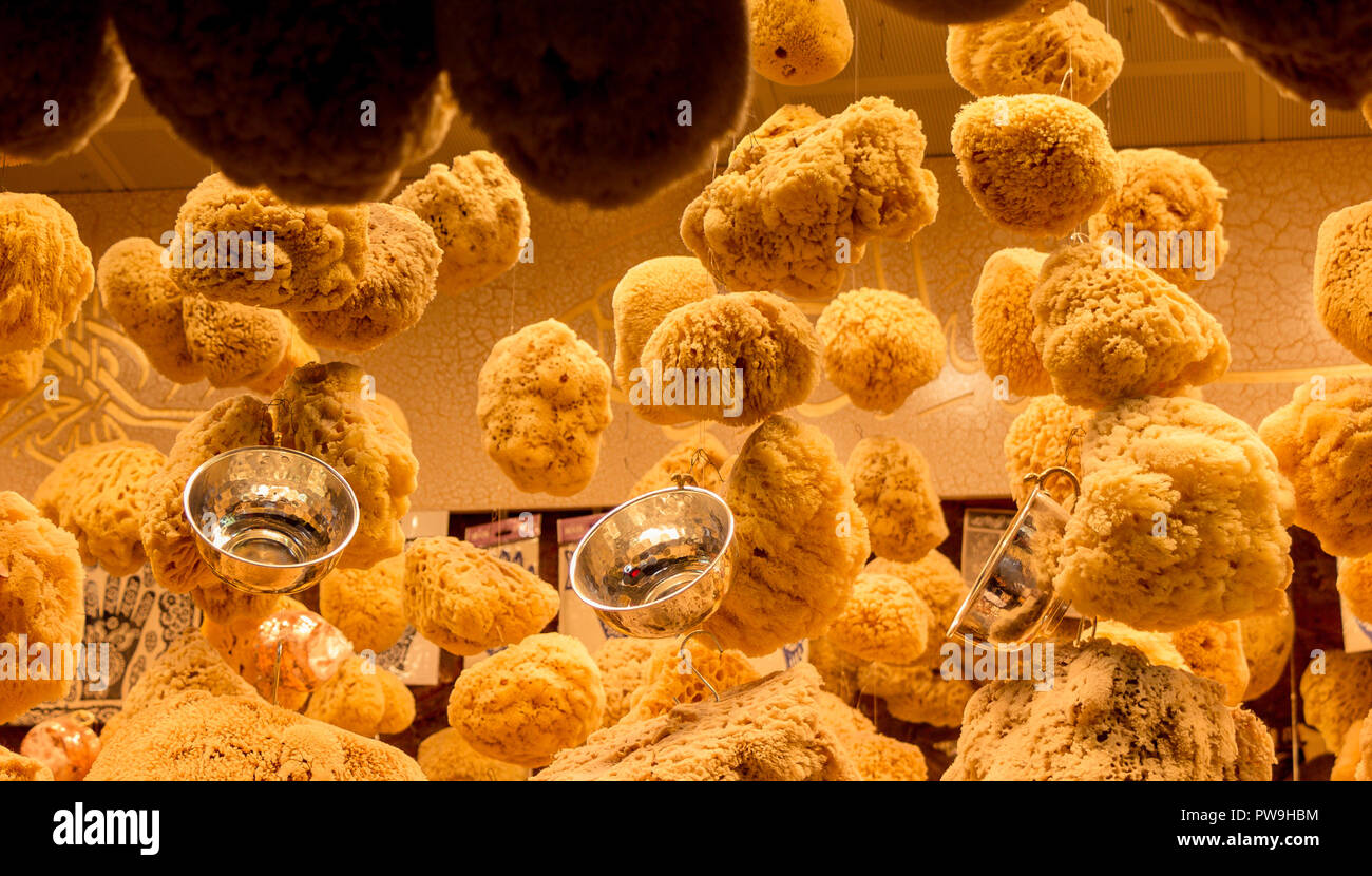 Collection of sea sponges found on a market stall Stock Photo Alamy