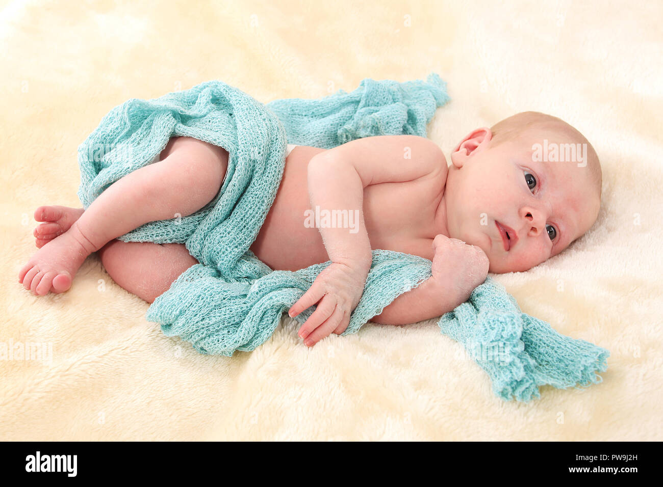 2 week old baby boy Stock Photo Alamy
