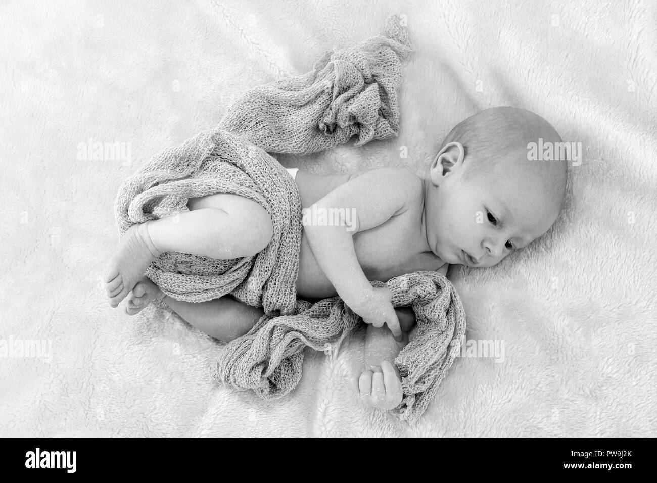 2 week old baby boy Stock Photo Alamy