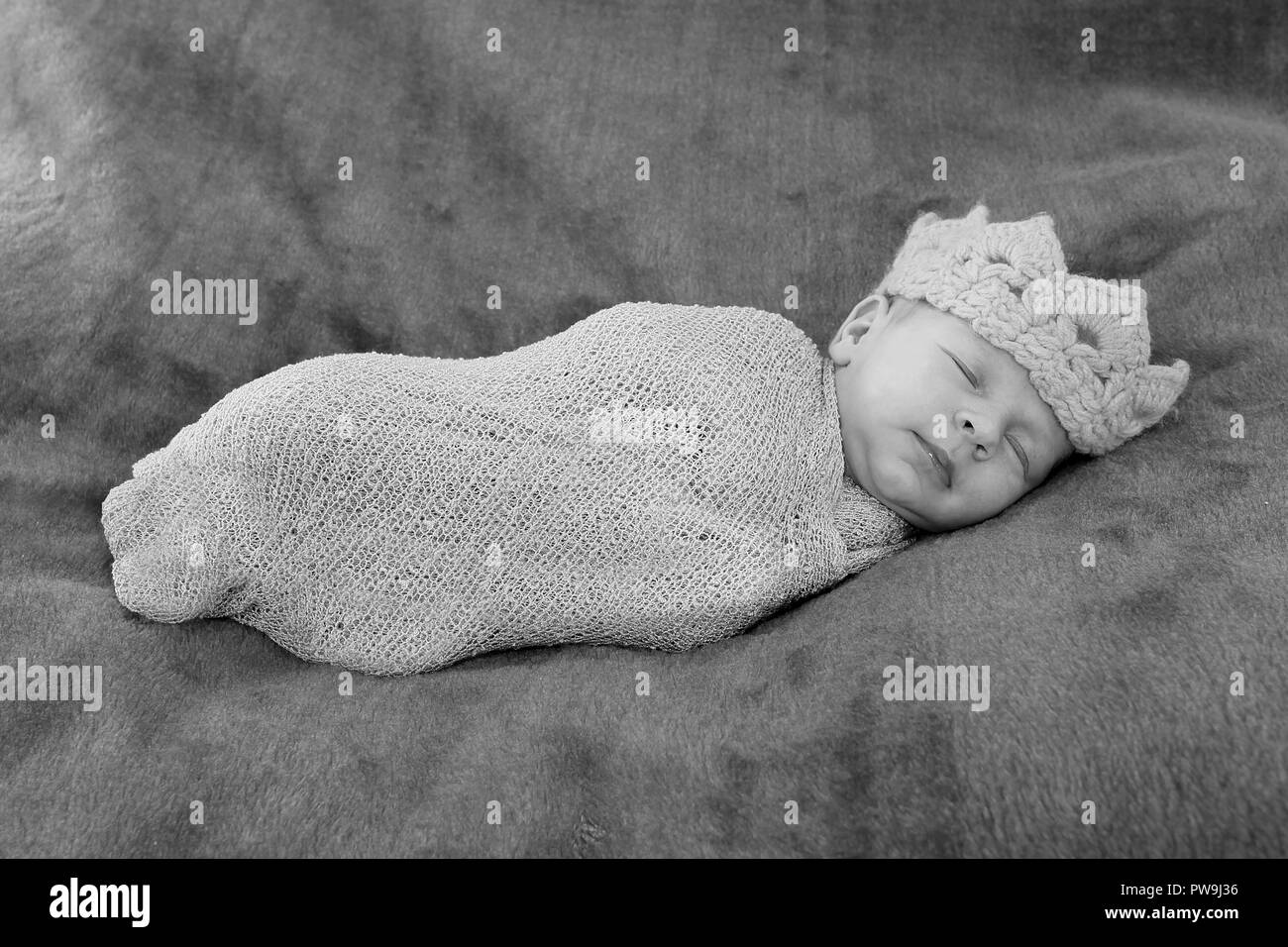 2 week old baby boy Stock Photo Alamy