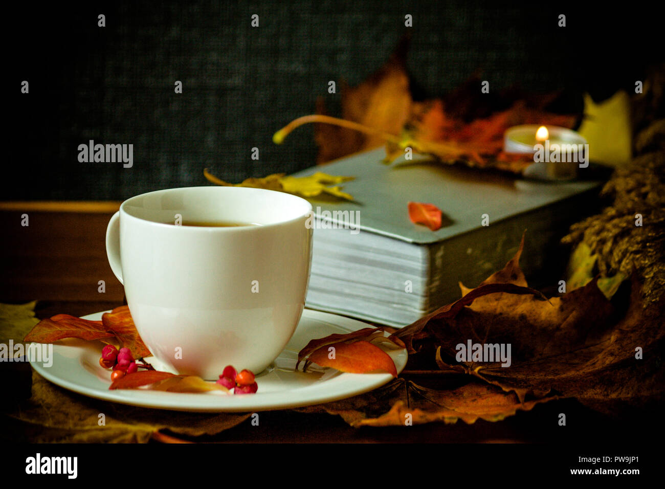 white cup with hot tea, steam, woolen material surrounds a saucer, maple multi-colored leaves on a cloth,autumn look,  the background is a gray book Stock Photo