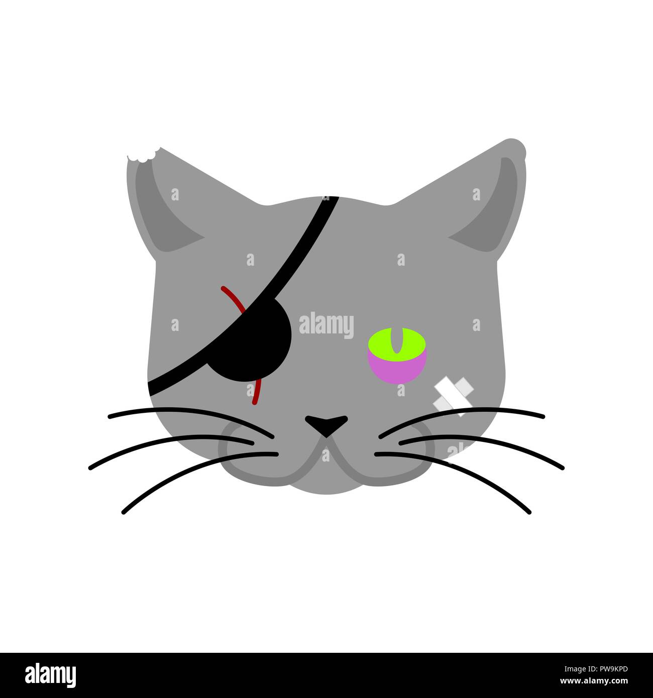 Cat close up looking domestic Stock Vector Images Alamy