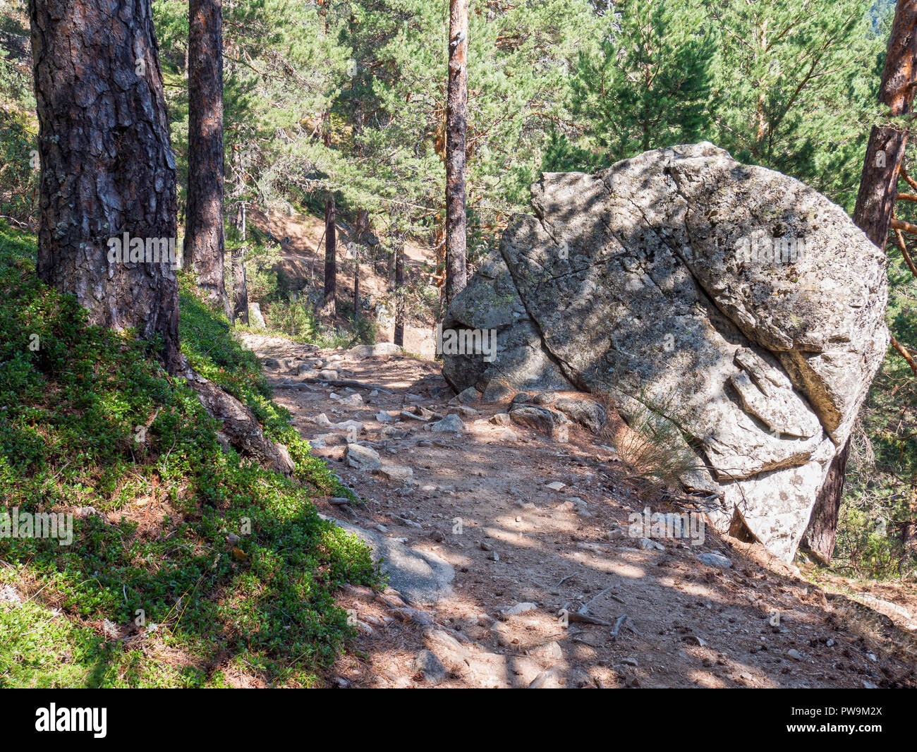 Sendero y roca de granito en el Valle de la Barranca en la Sierra de Guadarrama y dentro del 'Parque regional de la cuenca alta del Manzanares' (reser Stock Photo