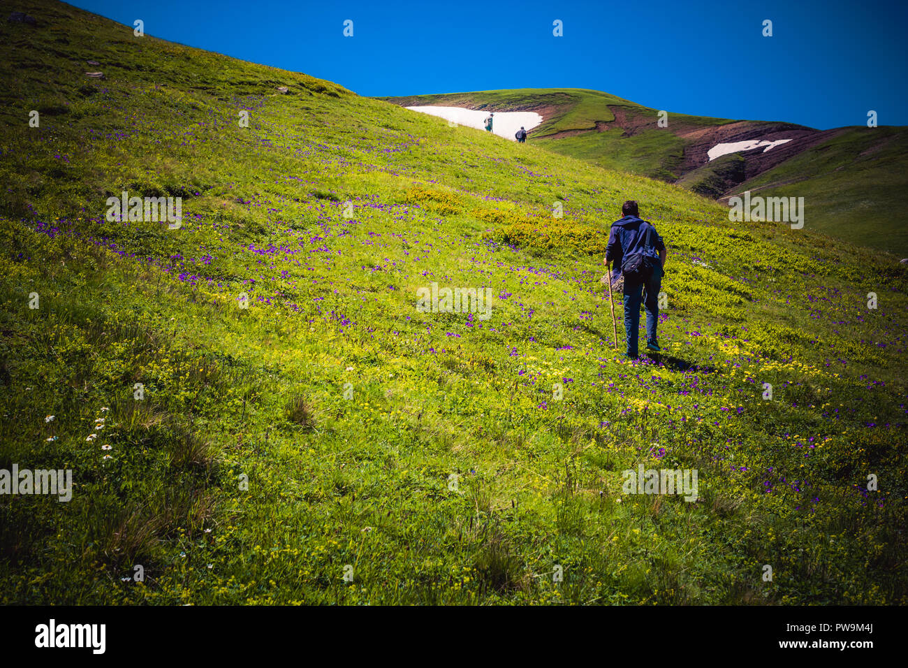 Boy traveler trekking poles hi-res stock photography and images - Alamy