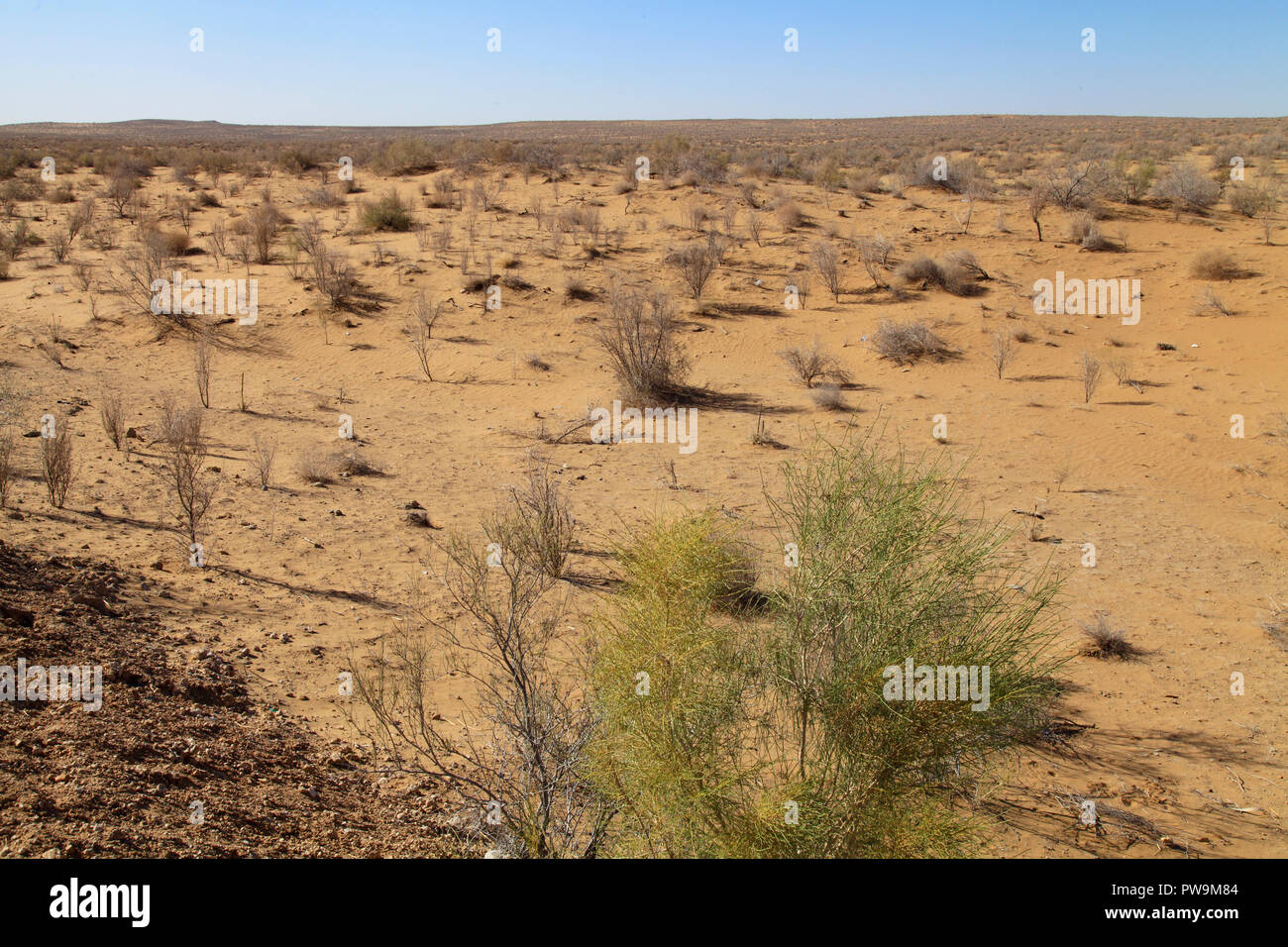 Uzbekistan, Transoxiana, Kyzylkum Desert, Stock Photo