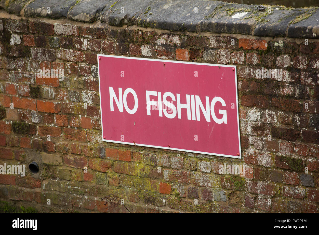 A warning sign indicating no fishing on a river. Wiltshire England UK GB Stock Photo