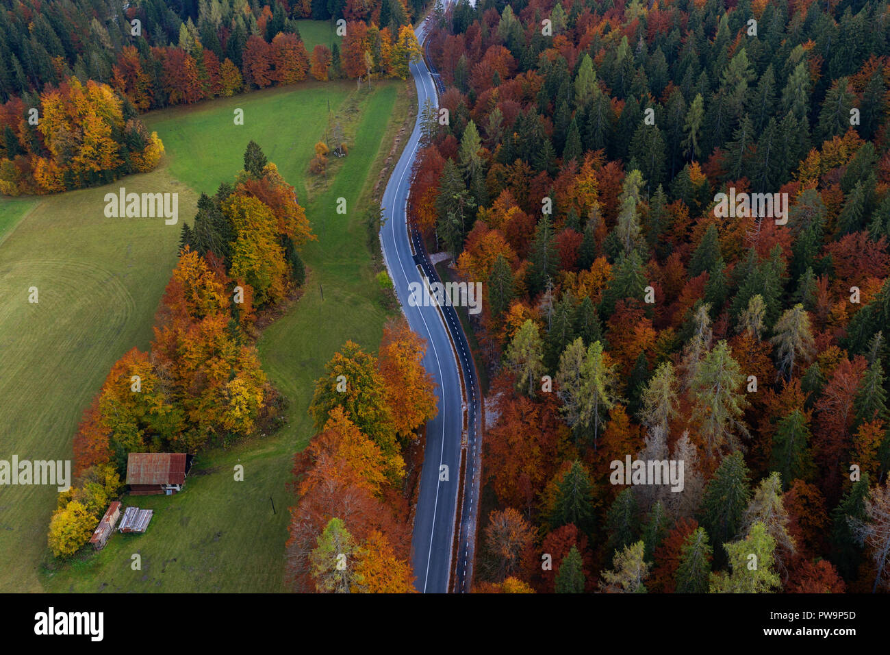 Aerial view of road in fall colored woods Stock Photo