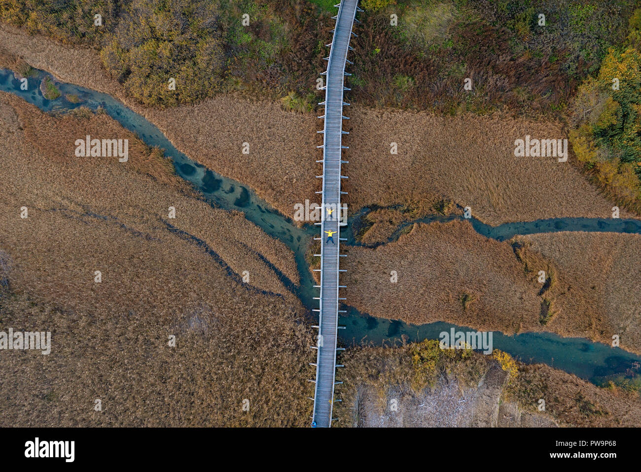 Wooden walk path above dry reed on the marsh, mother and son in yellow jackets lying on the bridge with hands and legs stretched out from a drone Stock Photo