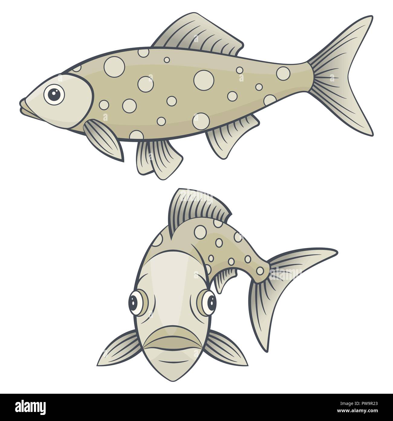 Full face and side view of river or sea fish Stock Vector Image & Art -  Alamy