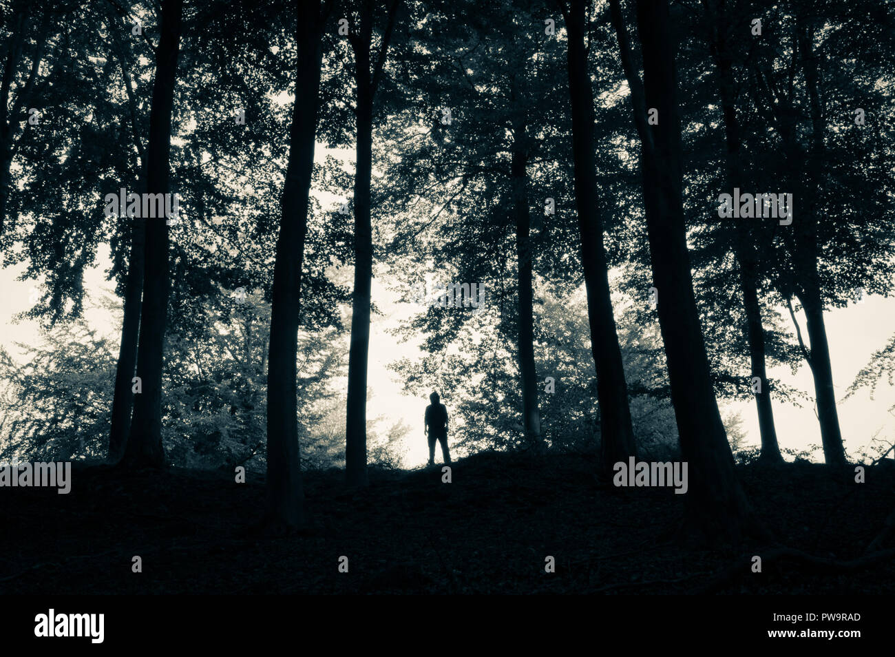 A lone eerie hooded figure silhouetted against trees, with a vintage, grunge duo tone blue edit Stock Photo