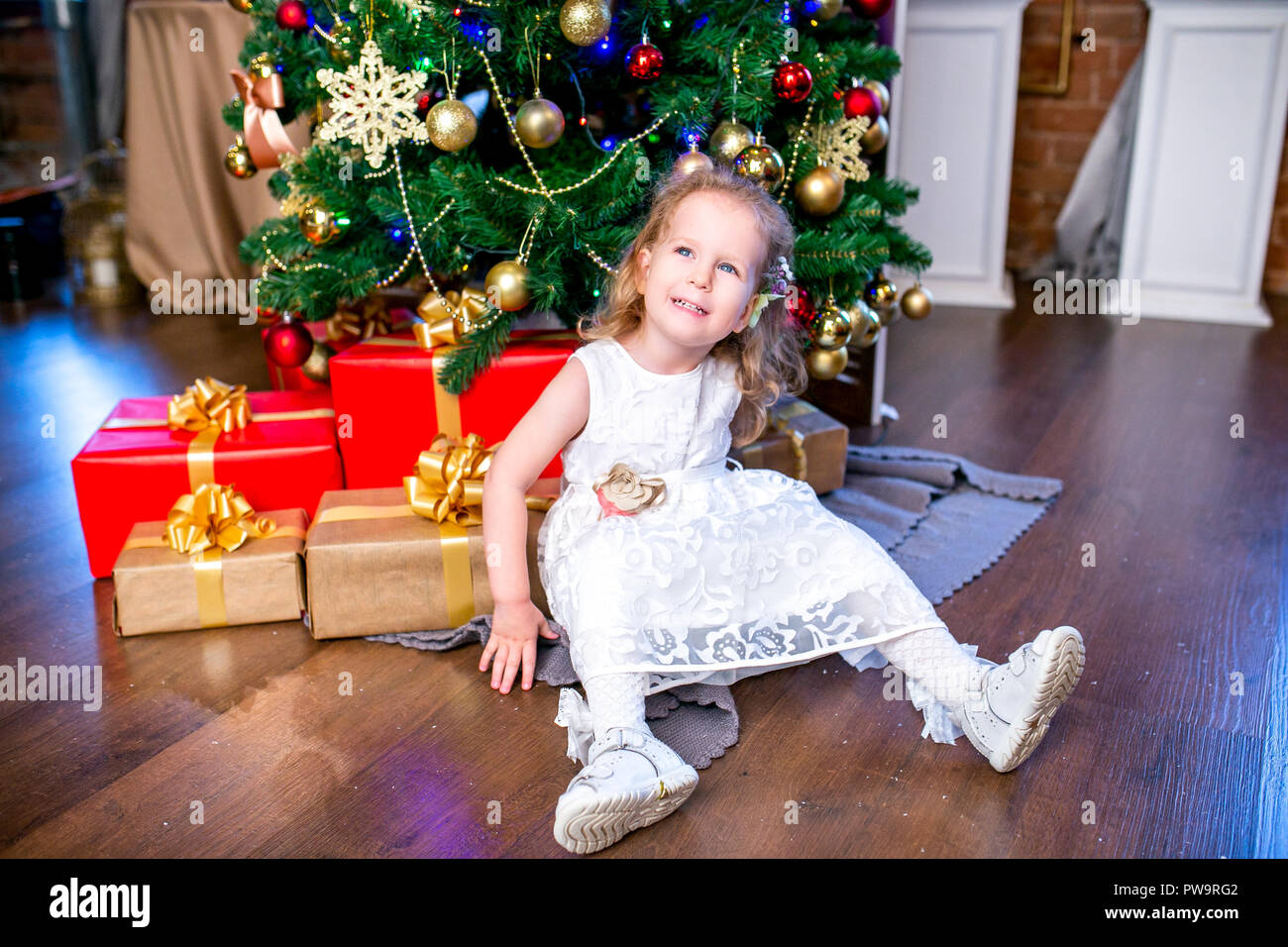 cute little girl in a white dress sits near a Christmas tree with gifts ...