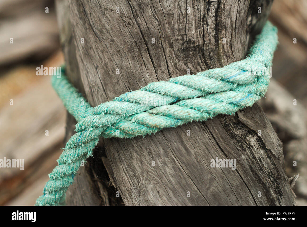 An old rope tied around a log at Stave Lake in Mission, British Columbia, Canada Stock Photo