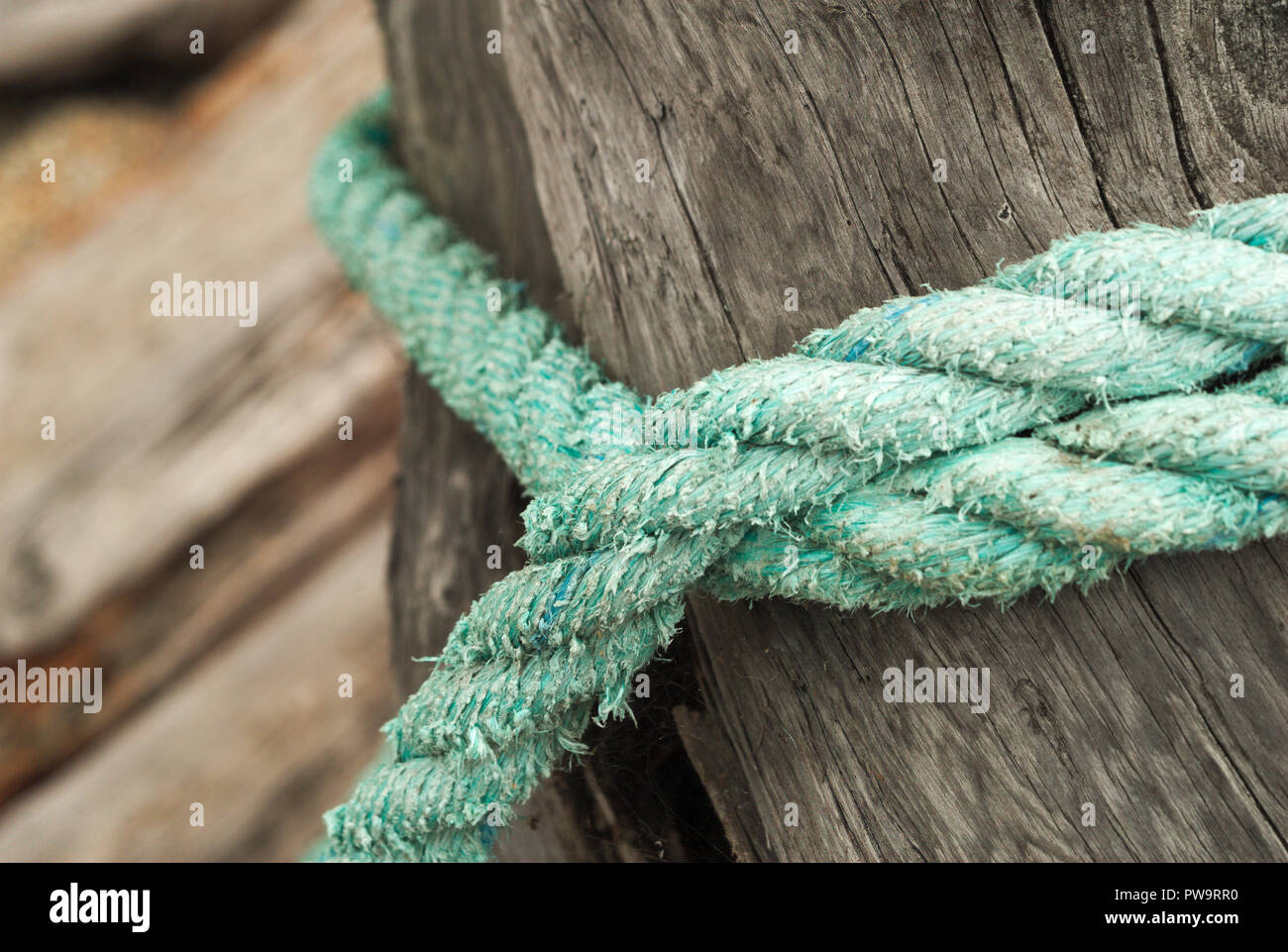 An old rope tied around a log at Stave Lake in Mission, British Columbia, Canada Stock Photo
